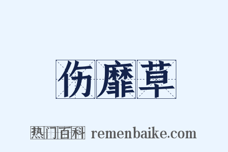 伤靡草是什么意思的图片